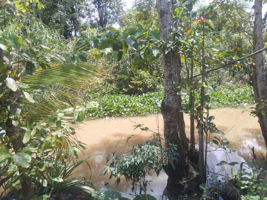 Nhà Đất Sa Đéc